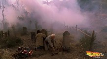 screenshot-back-to-the-future-3-014141